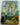 Our Lady of Fatima Apparition Card (H-1)