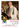 Pope Francis Commemorative Holy Card
